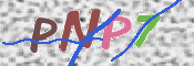 CAPTCHA 验证图片