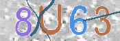 CAPTCHA 验证图片