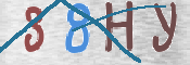 CAPTCHA 驗證圖片