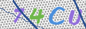 CAPTCHA 验证图片