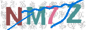 CAPTCHA 验证图片