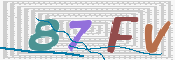 CAPTCHA 验证图片