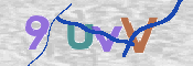 CAPTCHA 验证图片