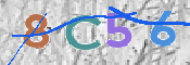 CAPTCHA 驗證圖片