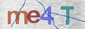 CAPTCHA 验证图片
