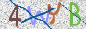 CAPTCHA 验证图片
