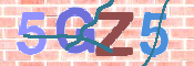CAPTCHA 验证图片