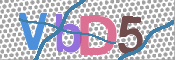 CAPTCHA 验证图片