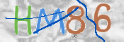 CAPTCHA 验证图片