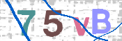 CAPTCHA 验证图片