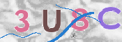 CAPTCHA 验证图片
