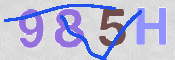 CAPTCHA 验证图片