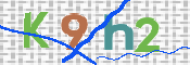 CAPTCHA 验证图片