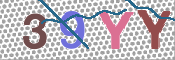 CAPTCHA 验证图片