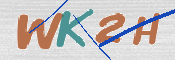 CAPTCHA 验证图片