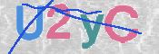 CAPTCHA 验证图片