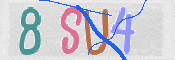 CAPTCHA 驗證圖片