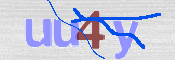 CAPTCHA 验证图片