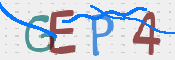 CAPTCHA 验证图片