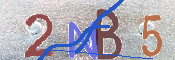 CAPTCHA 驗證圖片