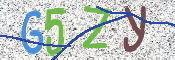 CAPTCHA 验证图片
