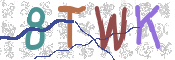 CAPTCHA 验证图片