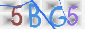 CAPTCHA 验证图片