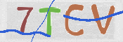 CAPTCHA 验证图片
