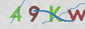 CAPTCHA 验证图片