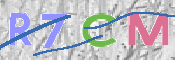 CAPTCHA 驗證圖片