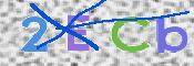 CAPTCHA 验证图片