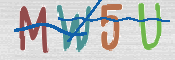 CAPTCHA 验证图片