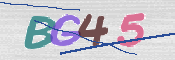 CAPTCHA 验证图片