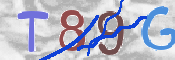 CAPTCHA 验证图片