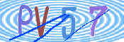 CAPTCHA 验证图片