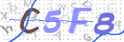 CAPTCHA 验证图片