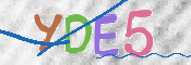 CAPTCHA 验证图片