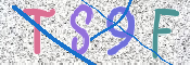 CAPTCHA 验证图片