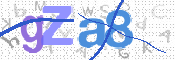 CAPTCHA 验证图片