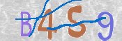 CAPTCHA 驗證圖片