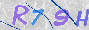 CAPTCHA 验证图片