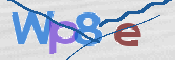 CAPTCHA 验证图片