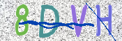 CAPTCHA 验证图片