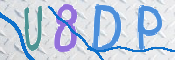 CAPTCHA 验证图片
