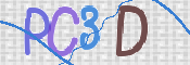 CAPTCHA 验证图片
