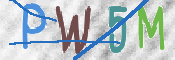 CAPTCHA 验证图片