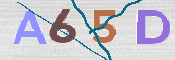 CAPTCHA 驗證圖片