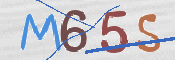CAPTCHA 验证图片