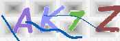 CAPTCHA 验证图片