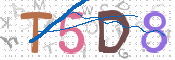 CAPTCHA 验证图片